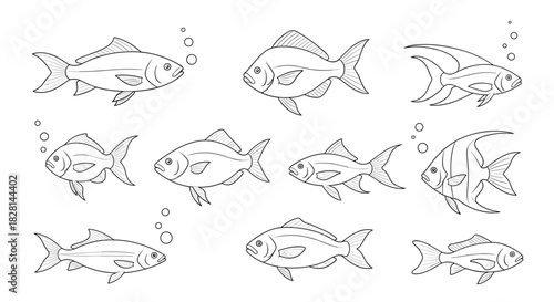 A set of ten different freshwater fish illustrations with air bubbles in a clean black and white line art vector style.