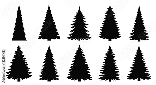 A collection of ten black silhouettes of evergreen pine or fir trees in various shapes for nature and forest designs.