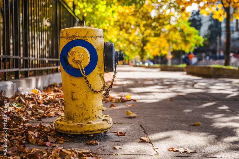 Fototapeta premium Toronto, Canada: Yellow fire hydrant on a city sidewalk surrounded by fallen autumn leaves with soft sunlight filtering through the trees