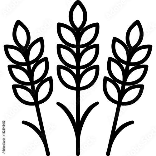 Wheat stalks grain outline icon vector