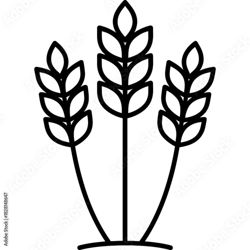 Wheat stalks grain outline icon vector