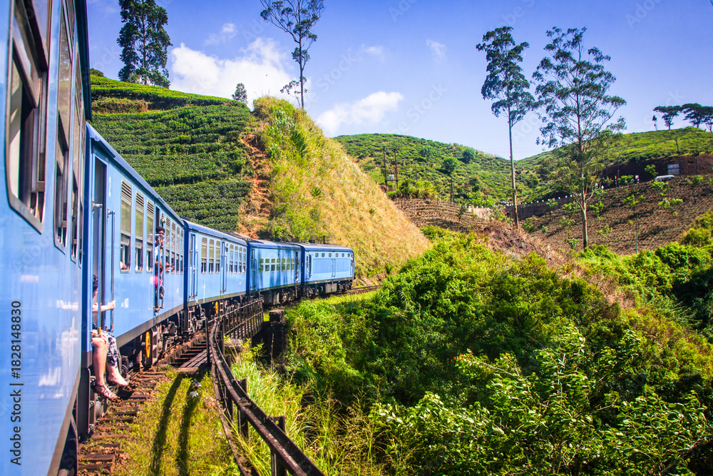 Fototapeta premium train from Nuwara Eliya to Kandy among tea plantations in the highlands of Sri Lanka
