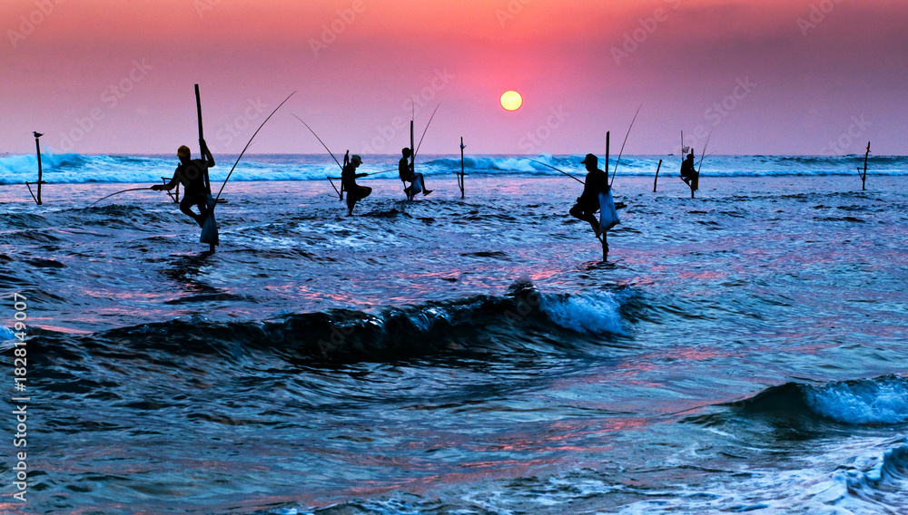 Naklejka premium traditional stilt fishermen of sri Lanka fishing at sunset