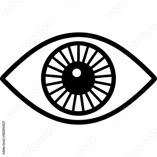 Eye with iris detail clean outline icon vector