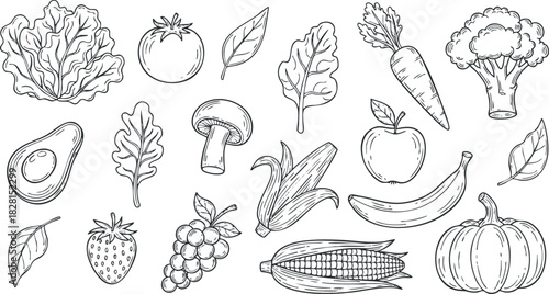 Hand-drawn vector illustration of assorted vegetables and fruits including tomatoes, carrots, and leafy greens for health and nutrition themes