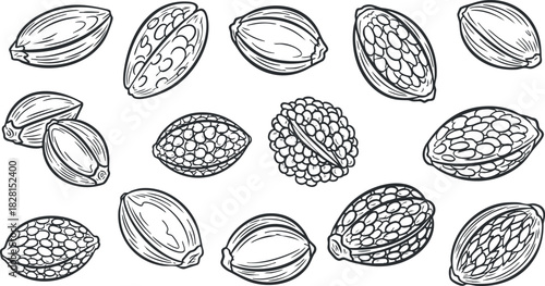 Hand-drawn vector illustration of various seeds and nuts in an outline style, perfect for food packaging and botanical designs