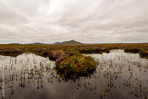 Forsinard Flows nature reserve in northern Scotland featuring blanket bog and pools of water is one of the most desolated places in the UK.