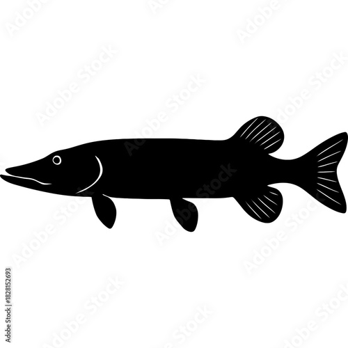 Black vector silhouette of pike