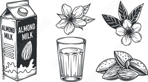 Black and white vector illustration showcasing almond milk carton, glass of milk, almonds, and almond flowers for healthy lifestyle designs