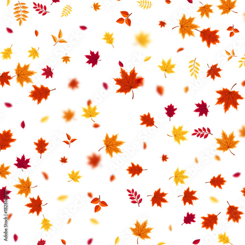 Autumn flying and falling leaves background with colorful seasonal foliage in red, orange, and yellow. Perfect for nature themes, seasonal sales, posters. Vector illustration