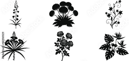 Collection of Black Floral Silhouettes on White Background black and white flower