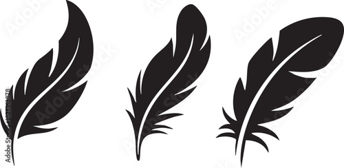 Set of Bird Feather. Feathers vector set in a flat style. Pen icon. Black quill feather silhouette. Plumelet collection isolated on white background