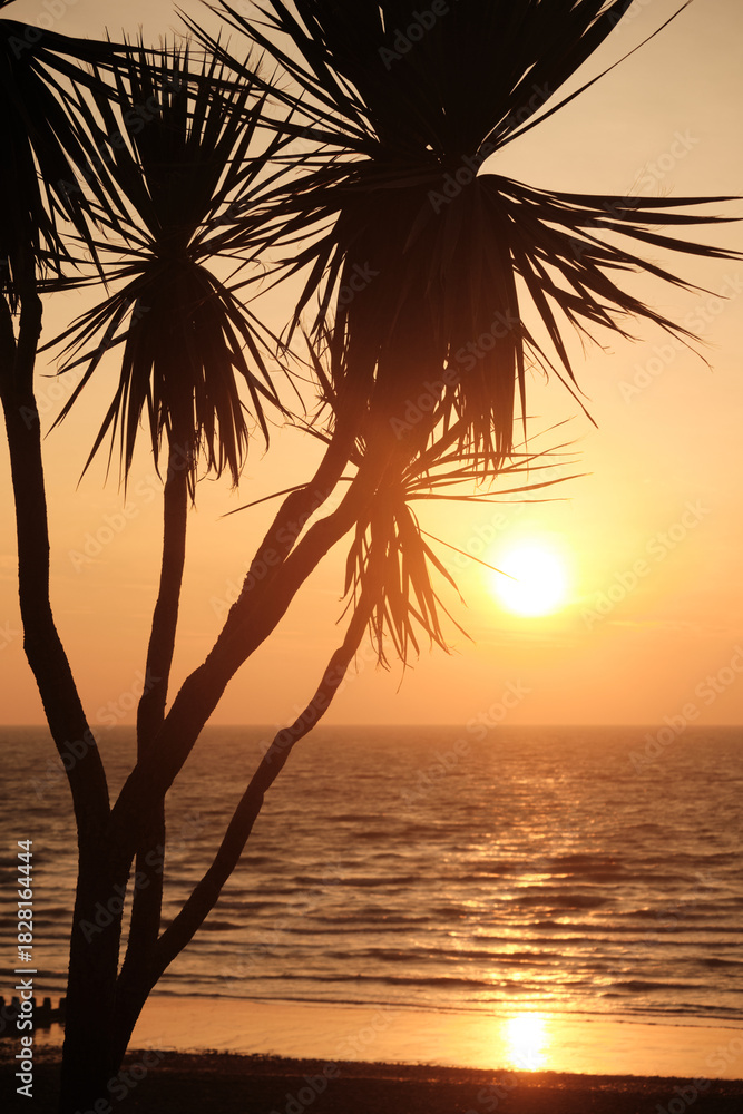 Fototapeta premium Sunrise with a silhouette of a palm tree branch in the foreground
