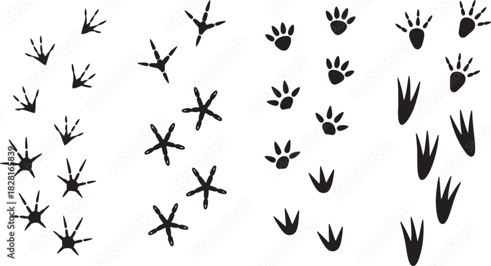 Naklejka premium Animal footprints silhouettes vector illustration isolated on background