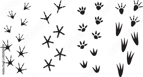Animal footprints silhouettes vector illustration isolated on background