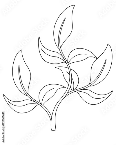 Seaweed, aquarium bush - vector linear illustration for coloring. Outline. Seaweed, underwater bush
