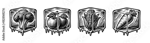 Frozen icon cubes vintage engraving set, icy blocks with symbols