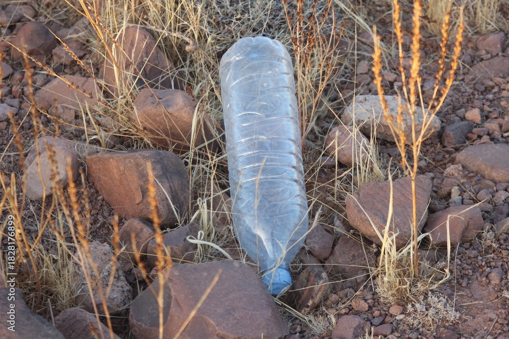 Obraz premium A plastic bottle lying on the ground, Plastic pollution, Plastic environmental impact