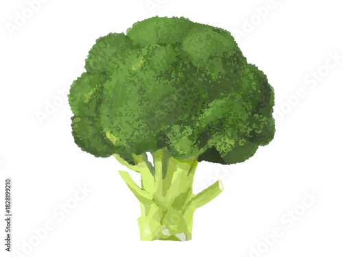 丸ごとひと株 ブロッコリーのベクターイラスト