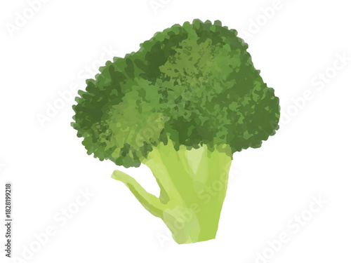ブロッコリーの小房のベクターイラスト(ふさ広がり)