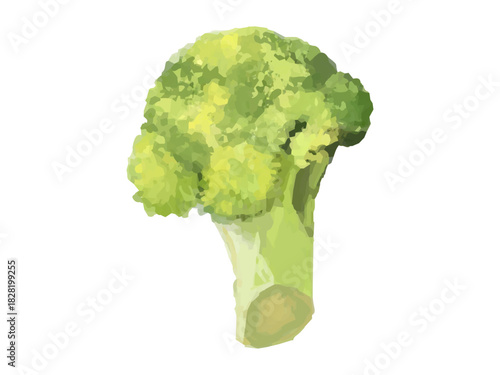 ブロッコリーの小房のベクターイラスト(黄色み)