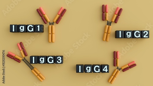 Obraz na plátně 3D rendering of the four human IgG subclasses (IgG1, IgG2, IgG3, IgG4)