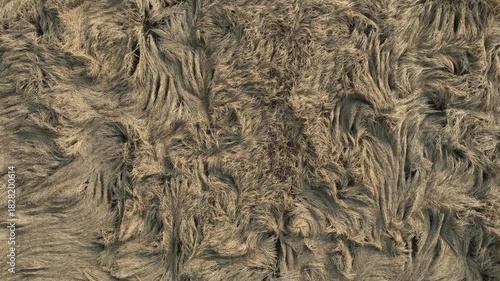 Fallen rice fields, aerial video from a vertical perspective in the North China Plain