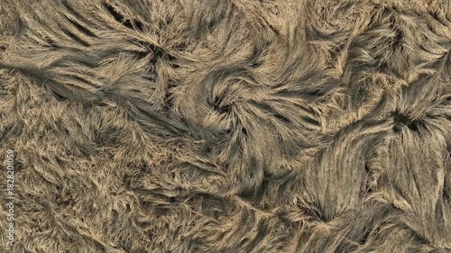 Fallen rice fields, aerial video from a vertical perspective in the North China Plain