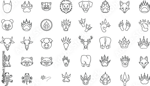 Animal faces and paw prints outline icons wildlife