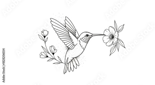 Delicate Fine Line Hummingbird with Floral Elements Tattoo Stencil on White_transparent.svg