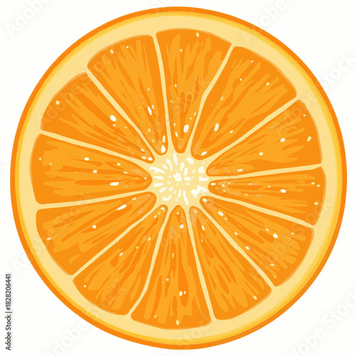 The illustration features a vibrant, deep orange color for the pulp, which is clearly divided into numerous juicy segments radiating from the white, star-shaped central core.