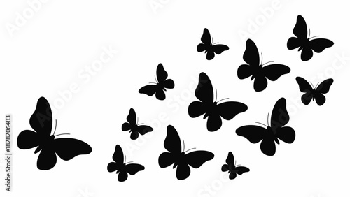 A group of butterfly silhouettes gracefully fly