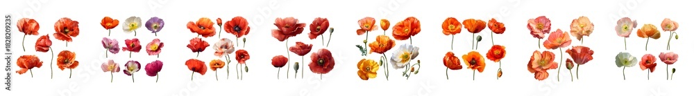 Obraz premium A vibrant collection of fresh berries and fruits arranged in artistic clusters.