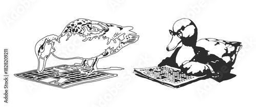 Ducks playing chess and sudoku in funny cartoon vector drawing illustration