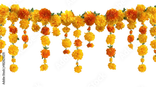 Yellow and orange rose flowers isolated on white background 