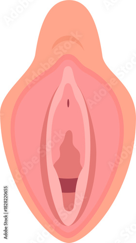 Healthy Vagina