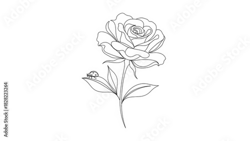 Elegant rose flower line art minimalist vector illustration perfect for wedding invitations and romantic designs