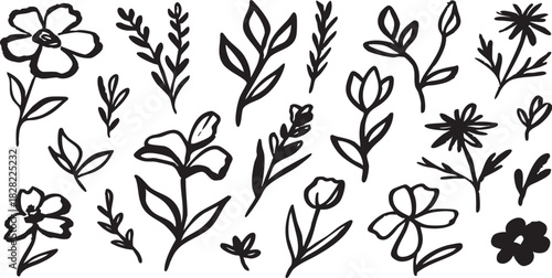 Floral Ensemble: A collection of meticulously hand-drawn floral and botanical elements in classic black, offering an array of elegant design components for various creative applications.