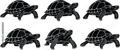 Six Detailed Silhouette Vector Illustrations of Tortoises or Terrapins in a Side Profile View, Capturing the Intricate Shell Patterns, Slow Movement, and Wildlife Symbol.