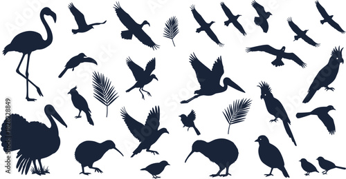 Silhouette collection of exotic birds, flying birds, tropical wildlife, flamingo, kiwi, turkey, parrot and crane, perfect for nature themed vector illustration and design projects