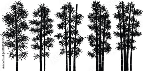 Bamboo tree silhouette collection, detailed black bamboo plant vector set, natural foliage illustration for design, tropical forest decorative elements