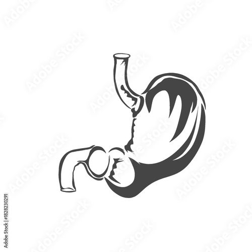 human internal organ icon stomach section without background