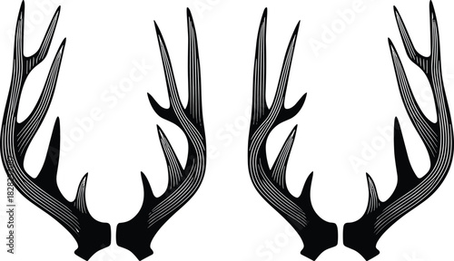 Black and white deer antler illustration set, symmetrical horn designs, vintage hunting trophy artwork for logos, decals, badges, rustic decoration
