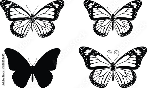 Butterfly illustration set featuring detailed wings, floral patterns, insect silhouettes, nature graphics for decorative artwork, design projects, crafting and botanical themes