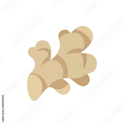 Whole ginger root with its distinctive knobby shape, a popular spice and healthy cooking ingredient flat vector.
