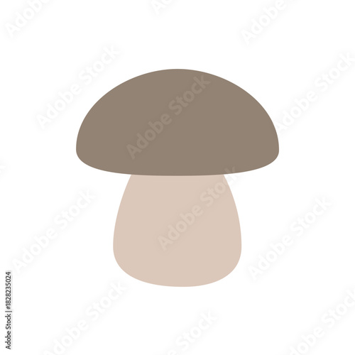 Simple, flat vector icon of a boletus or porcini mushroom with a brown cap and light stem, representing natural food.