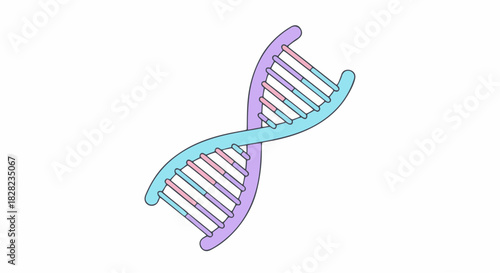 DNA double helix isolated on white background vector