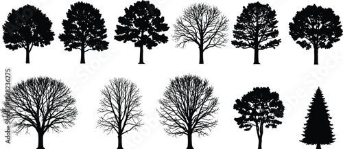 Collection of tree silhouettes featuring deciduous and evergreen varieties, detailed foliage shapes, bare winter branches, forest elements, botanical vector illustration set.