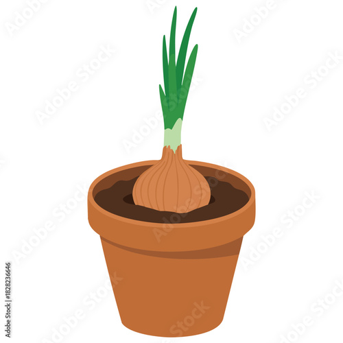 Onion window pot icon cartoon vector summer garden winter plant