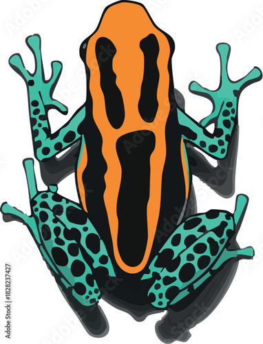 Vector illustration of Ranitomeya amazonica, a small Amazon poison dart frog with bright orange, yellow, and black patterns, shown in a clean tropical style